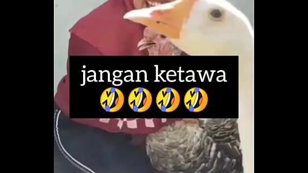 gadis gendut tertawa nafsu